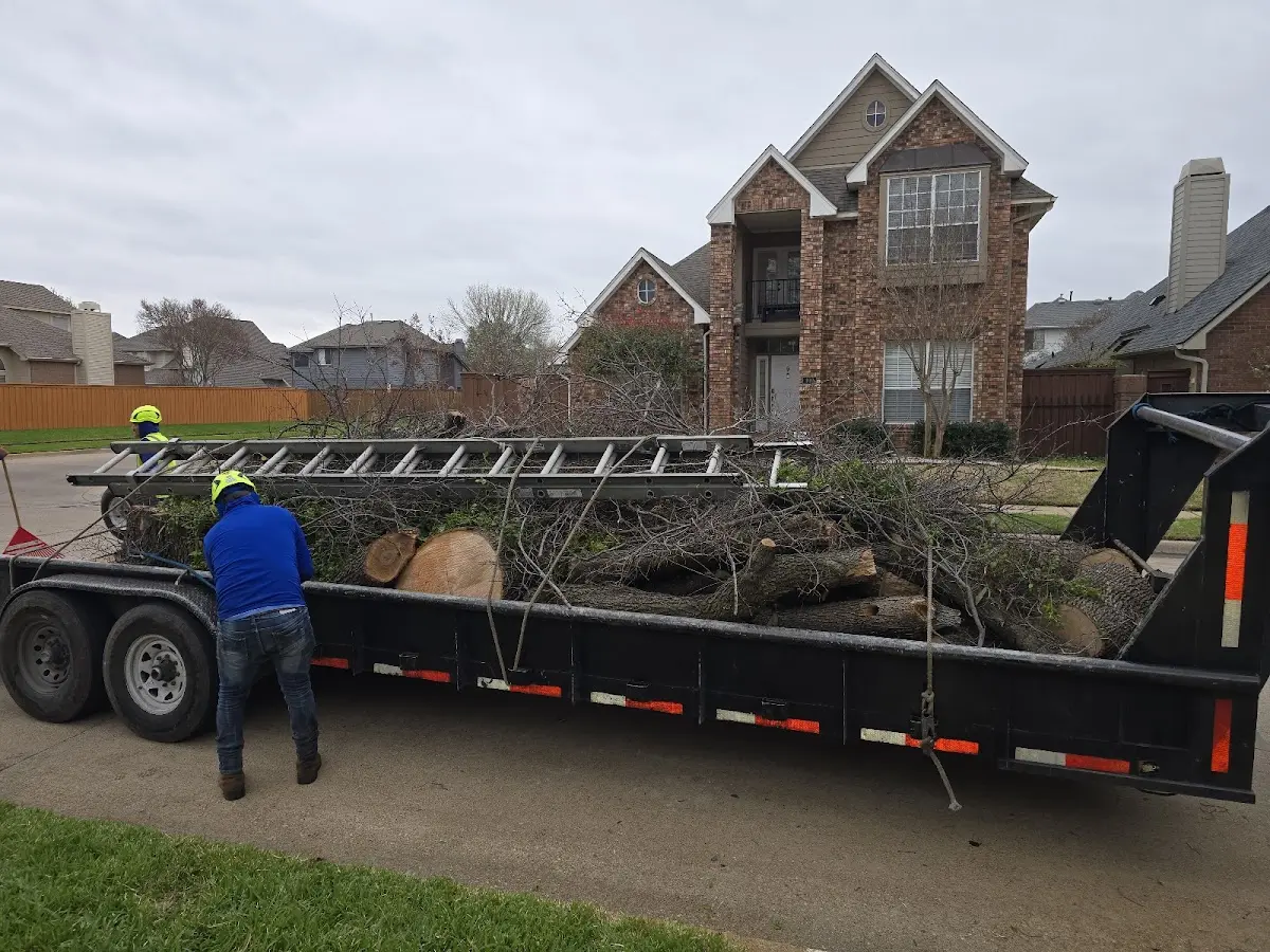 Expert Tree Removal with proper safety equipment in Redlake